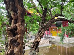 -华清宫景区