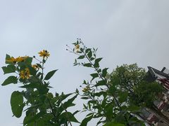 -丝绸小镇荻港古村