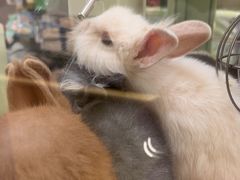 -龙猫仔乐园(惠福东路店)