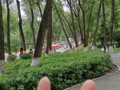 -西宁市人民公园(城西区)