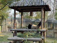 -上海野生动物园