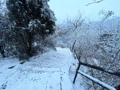 -香山公园