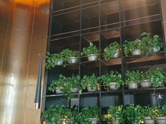 -吉布鲁牛排海鲜自助(温江合生汇店)