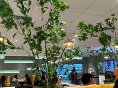 -大家乐(广州天河城六楼店)