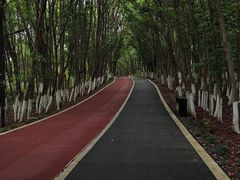 -艾溪湖湿地公园