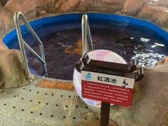 -无锡融创水世界