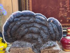 -三锅莊·牦牛肉火锅·香格里拉特色藏餐宴请餐厅(昆明创始店)