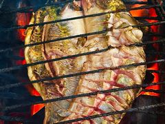 -老李重庆碳烤活鱼