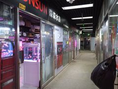 -花鸟鱼虫鲜花绿植市场(玉泉路店)
