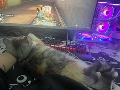 -万达影城(江北万达广场IMAX店)