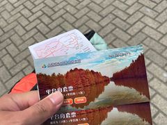 -上海海湾国家森林公园