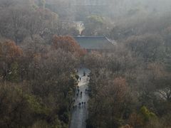 -灵谷景区