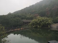 -旺山景区