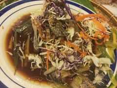-茉莉.Red Crab