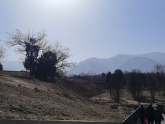 -秦始皇帝陵博物院-丽山园