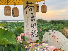 -七的湖·晚芳亭·阳澄湖农家菜·大闸蟹(莲花岛店)