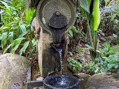 -呀诺达热带雨林