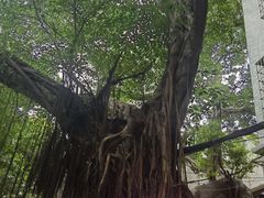 -小洲村