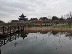 -上海海湾国家森林公园