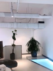 -I+造型烫发染发