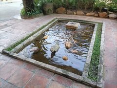 -大树头花园餐厅(市桥店)