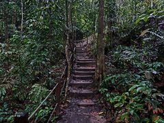 -武吉知马自然保护区