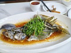 -禄源公·老莞诚饭店