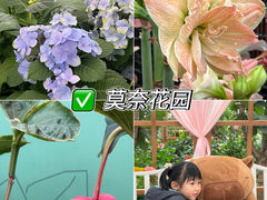 -盈香心动乐园