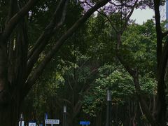 -深圳国际园林花卉博览园