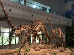 -自贡恐龙博物馆