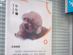 -全心全意连锁动物医院·微创中心·内科急重症·心脏专科(丰管路店)