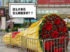 -金铂广场(龙归店)