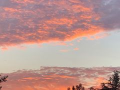 -胡马八破·川菜小馆(高新万达店)