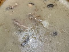 -云海肴云南菜·蒸汽石锅鱼(北京良乡华冠店)