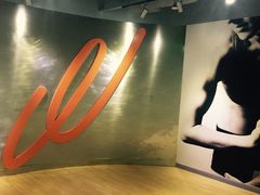 -健身专家Wellness Experts