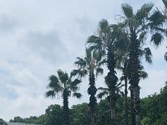 -东湖听涛景区