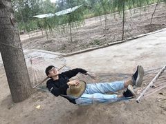 -东方巨龟苑景区