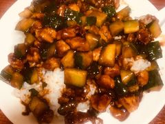 酱爆鸡丁盖饭-启子大馅饺子