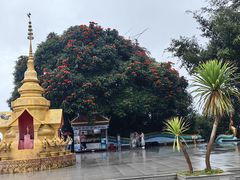 -西双版纳勐泐文化旅游区