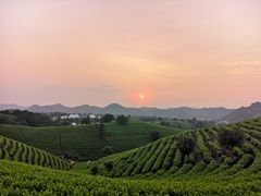 -帐篷客·溪龙茶谷度假酒店