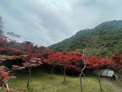 -五泄景区