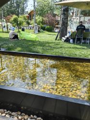 -禧园Joyous Garden ·宴会厅(禧园店)