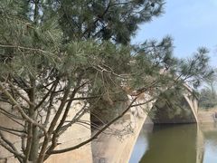 -赵州桥景区