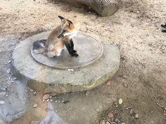 -无锡动物园·太湖欢乐园