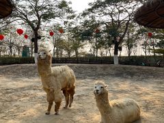 -盈香心动乐园