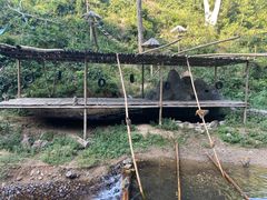 -西双版纳原始森林公园