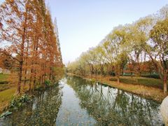 -昆山城市生态森林公园