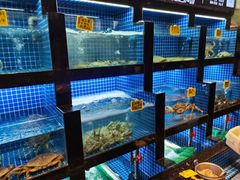 水产区-徽三说·土徽菜·中国徽菜连锁品牌(一中店)