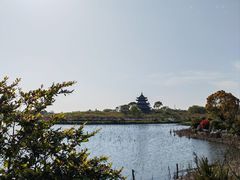 -上海海湾国家森林公园