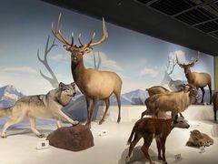 -陕西自然博物馆